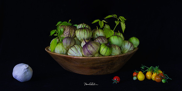 Autumn Harvest