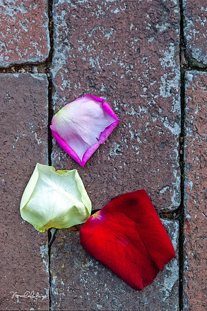 Outside the Flower Shop
