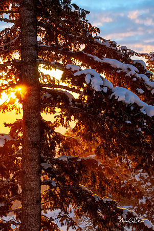 Late Winter Afternoon