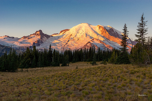 Mount Rainier at Sunrise