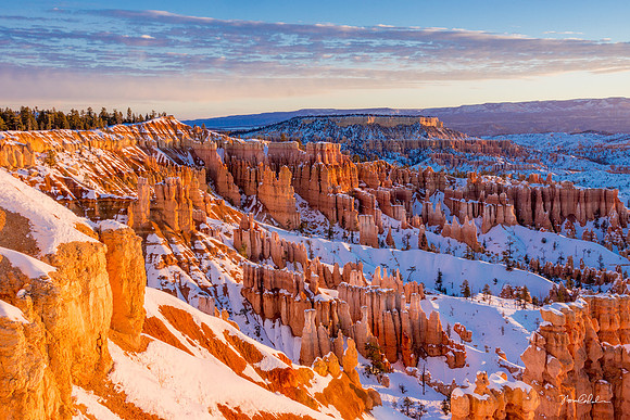 Winter Morning at Bryce Canyon