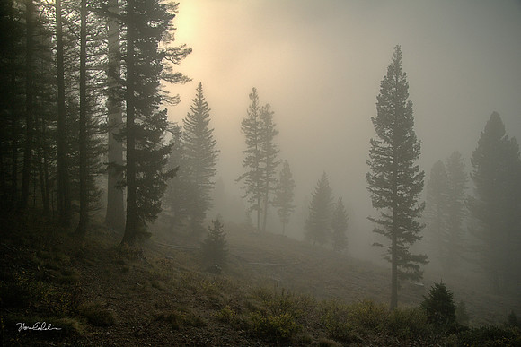 Enshrouded