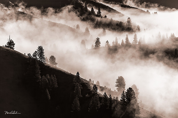 Foggy Day at Wilderness Ranch