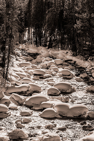 Redfish Lake Creek
