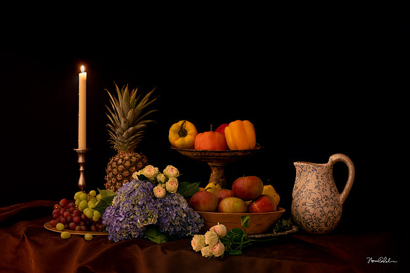 Winter Still Life