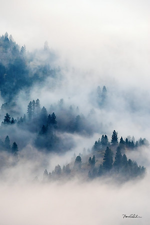 Mystery Mountains